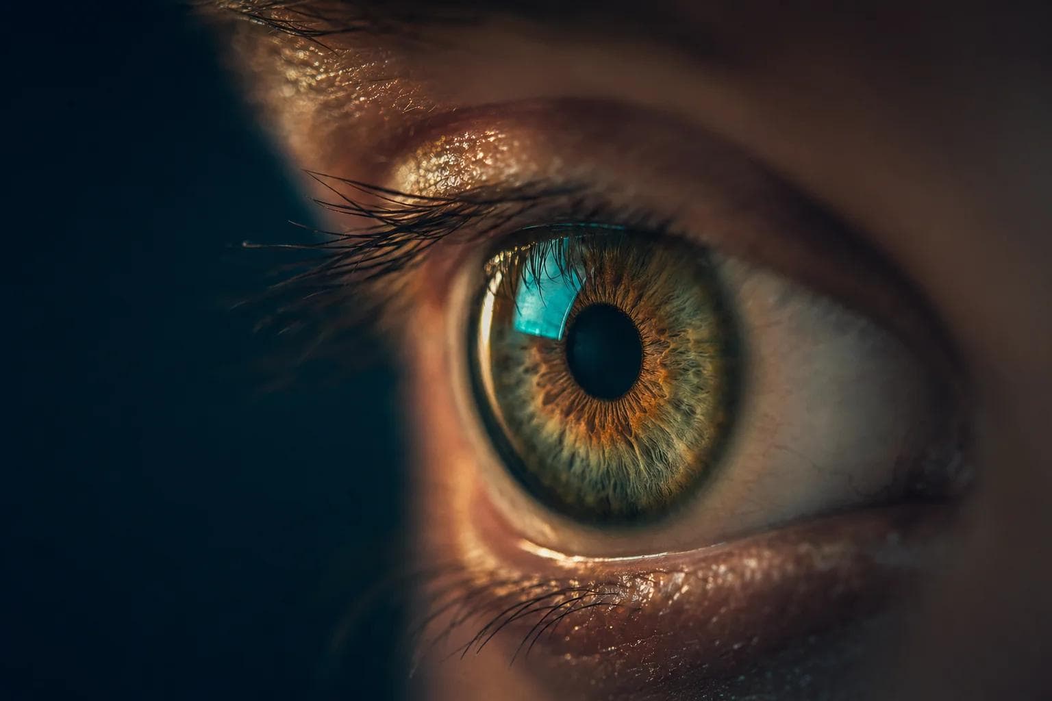 Ophthalmology medical specialty